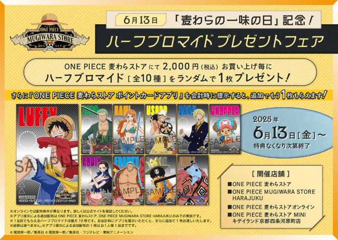 2025 half bromides for Mugiwara no Ichimi no Hi